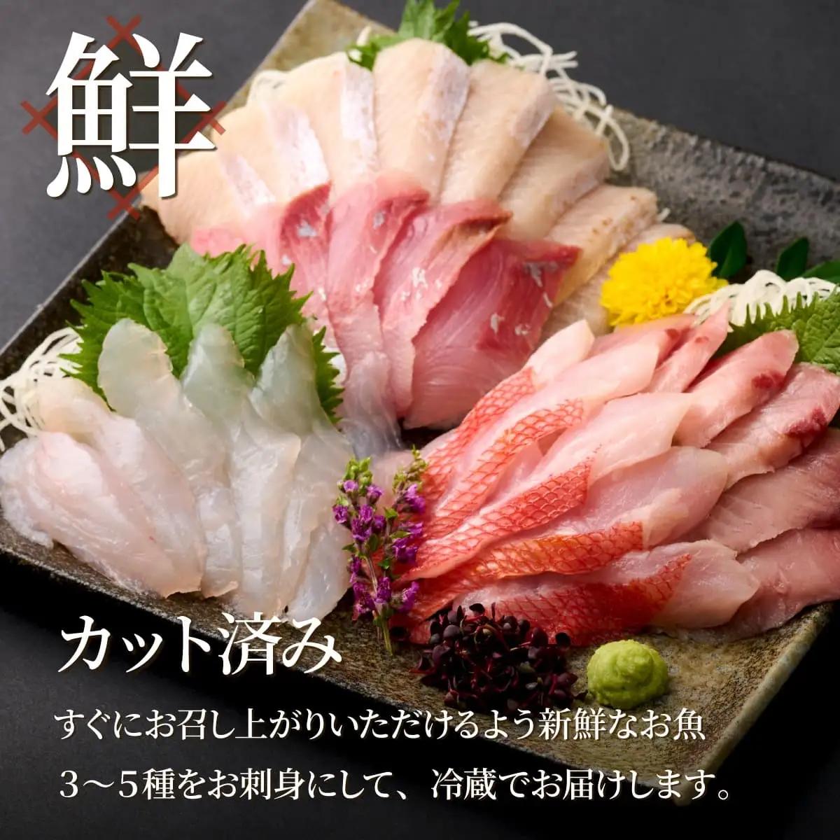 【刺身】3から5種 刺身2人前 hn128