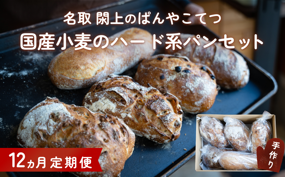 【12ヵ月定期便】名取 閖上 の ぱんやこてつ 手作り 国産小麦のハード系パンセット