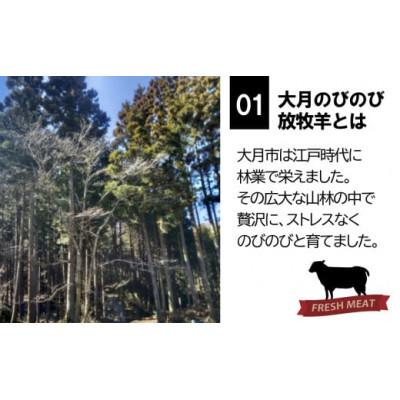 ふるさと納税 大月市 【先行受付】【大月のびのび放牧羊】ラムチョップ2本　ラム肉ステーキセット400g |  | 01