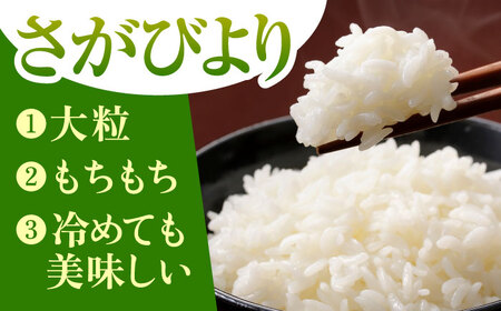 令和7年産 さがびより 白米 10kg（5kg×2袋）  [HBL004]白米 特A