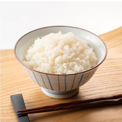 ふるさと納税 五泉市 【毎月定期便】特別栽培米コシヒカリ100%「南郷米」精米 5kg(5kg×1袋)全12回 |  | 02