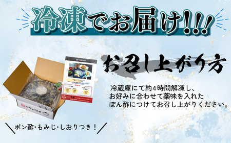 【とらふぐ刺身】 4-5人前 100g 皮80g 冷凍 海鮮 セット ふぐ BV