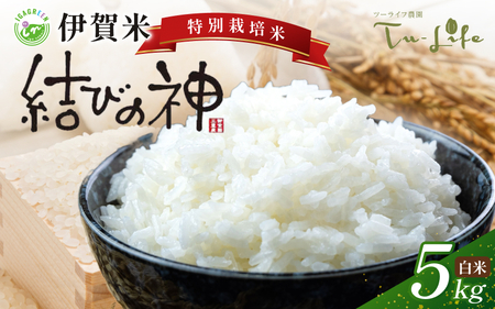 特別栽培米・伊賀米結びの神 5kg【tuli0002A】