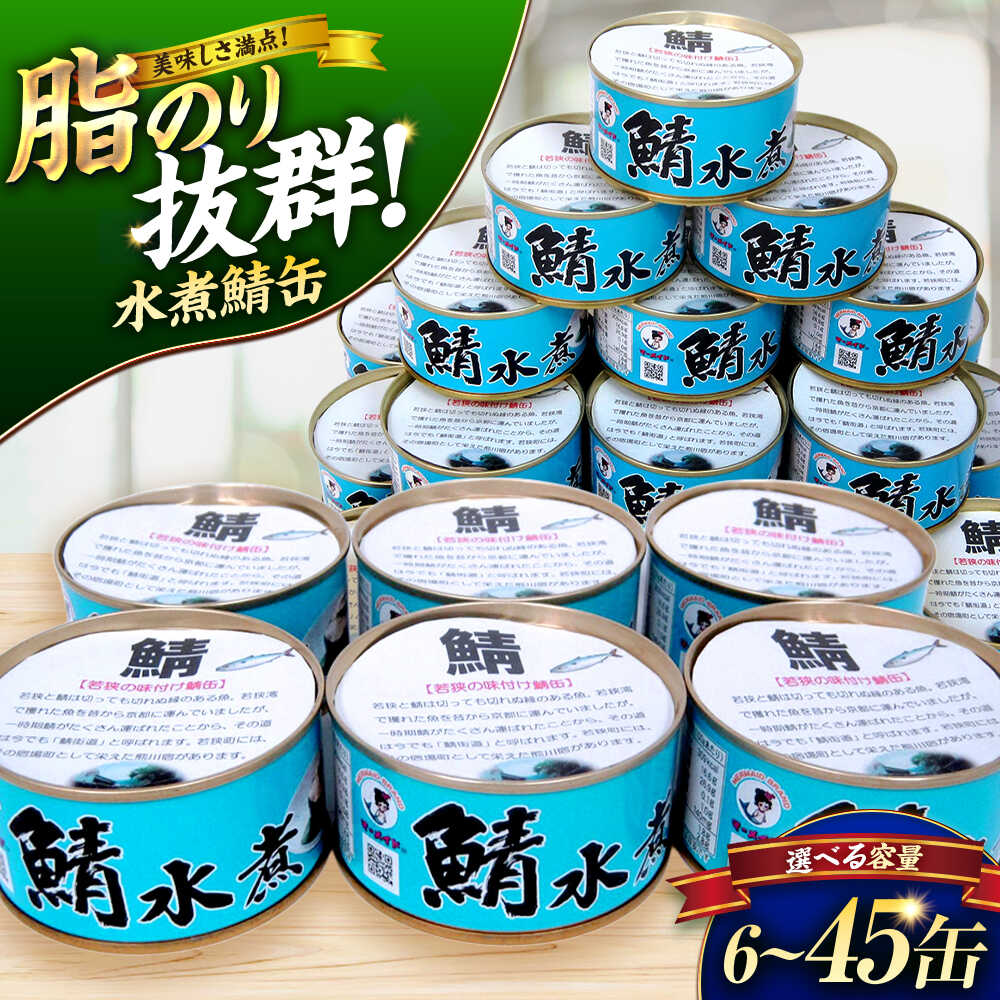 【ふるさと納税】若狭の鯖水煮缶詰 12缶セット キャンプ アウトドア おつまみ 酒の肴 保存食[A-075020] [BFBS003]