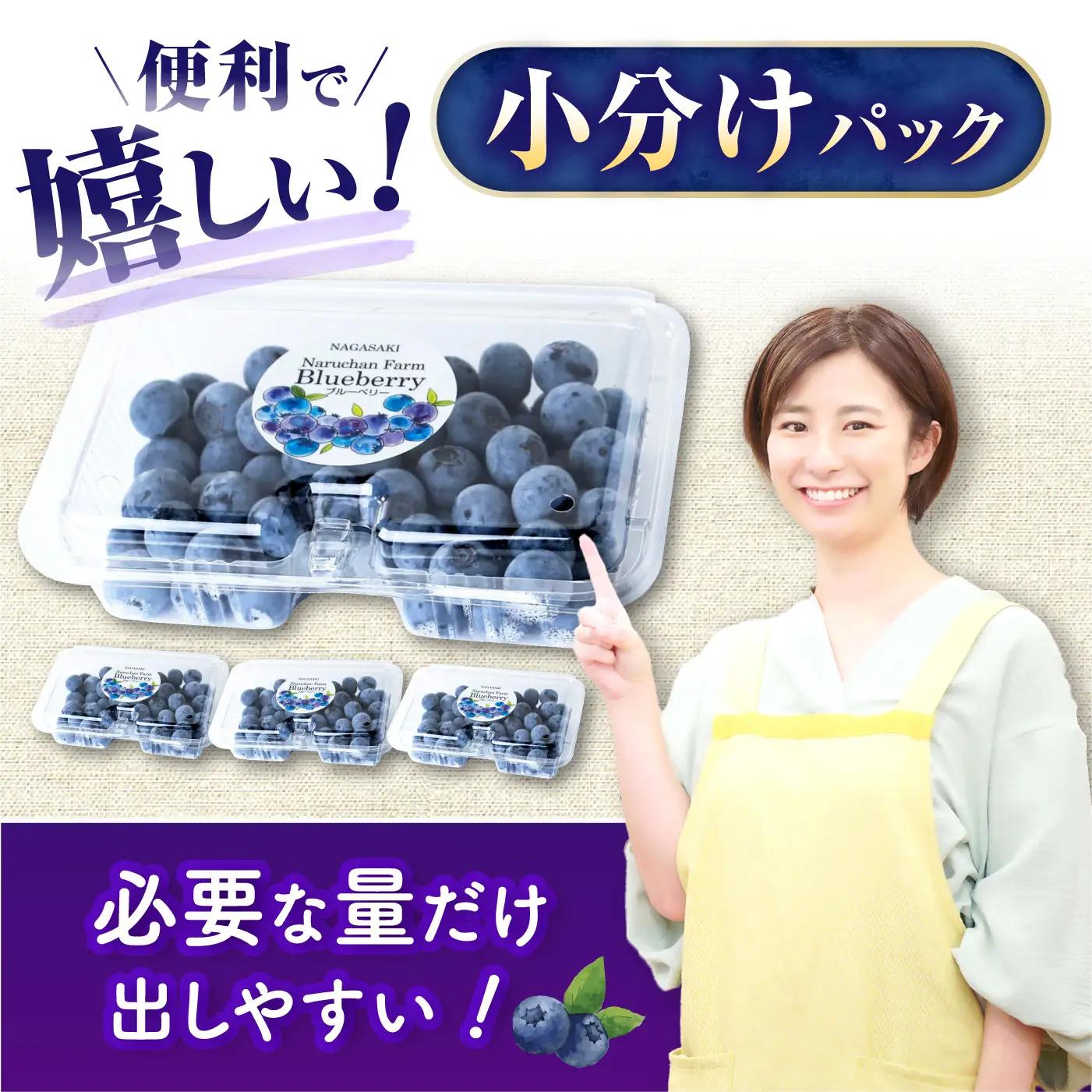 フルーツ2回定期便（ブルーベリー 約1kg・シャインマスカット 約1.5kg） 大村市 おおむら夢ファームシュシュ/ ブルーベリー ぶるーべりー ぶどう ブドウ 葡萄 フルーツ定期便 シャインマスカッ