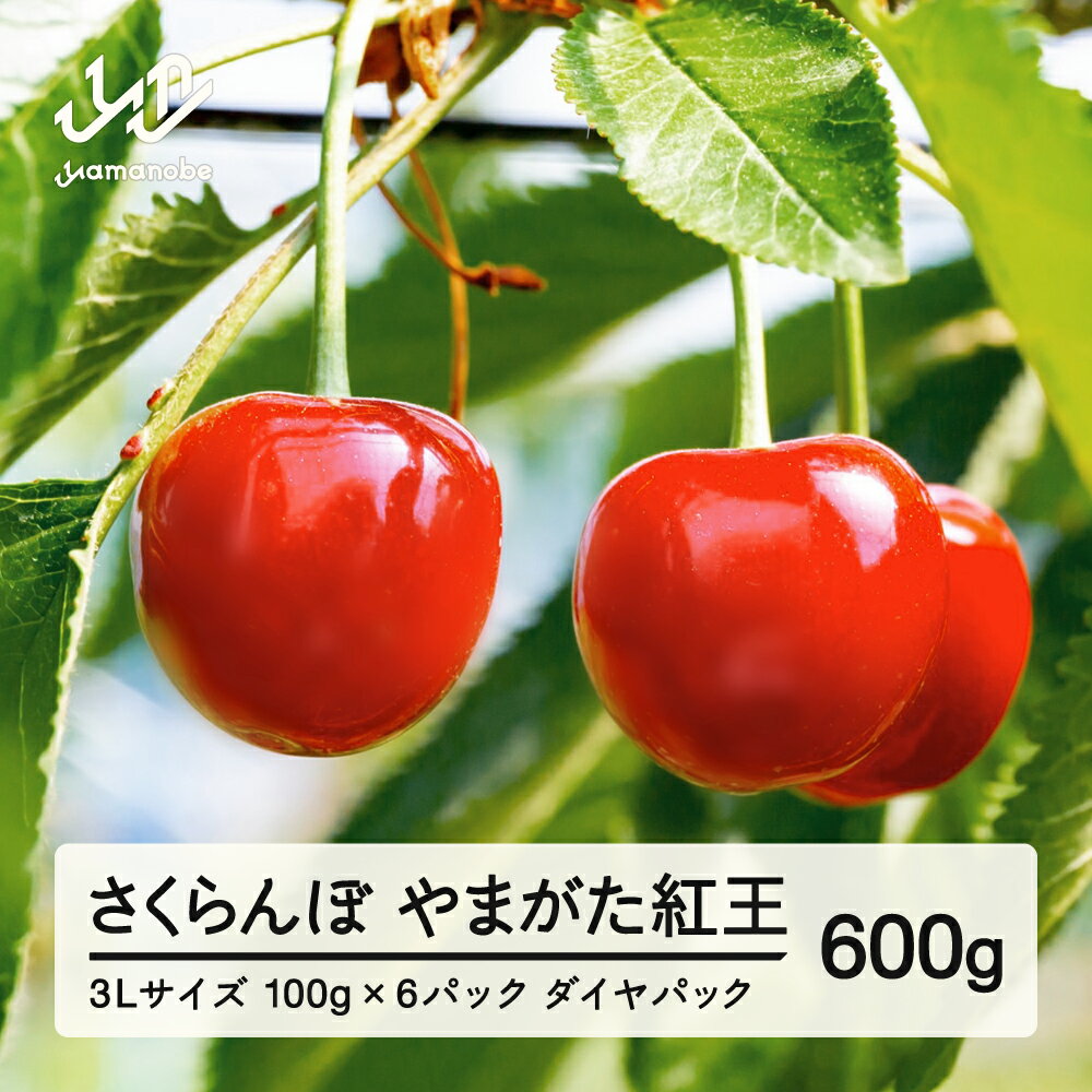 【ふるさと納税】《先行予約》2026年 山形県産 さくらんぼ やまがた紅王 3Lサイズ 100g 6パック入り ※沖縄・離島への配送不可 ts-yb3ld600