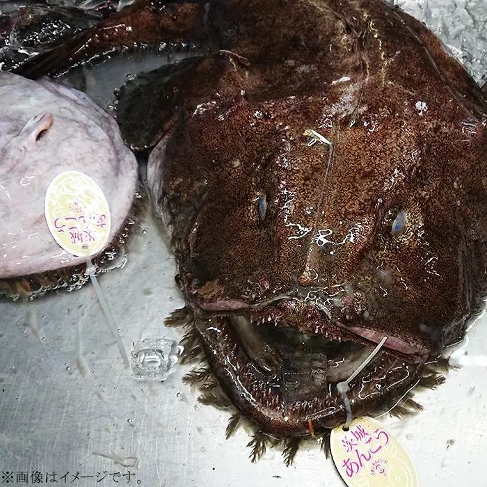 あんこう鍋 刺身付き（ あんこう切り身 1kg ＋ 自家製あんこう鍋 スープ 500cc ＋ あんこう刺身100g ）