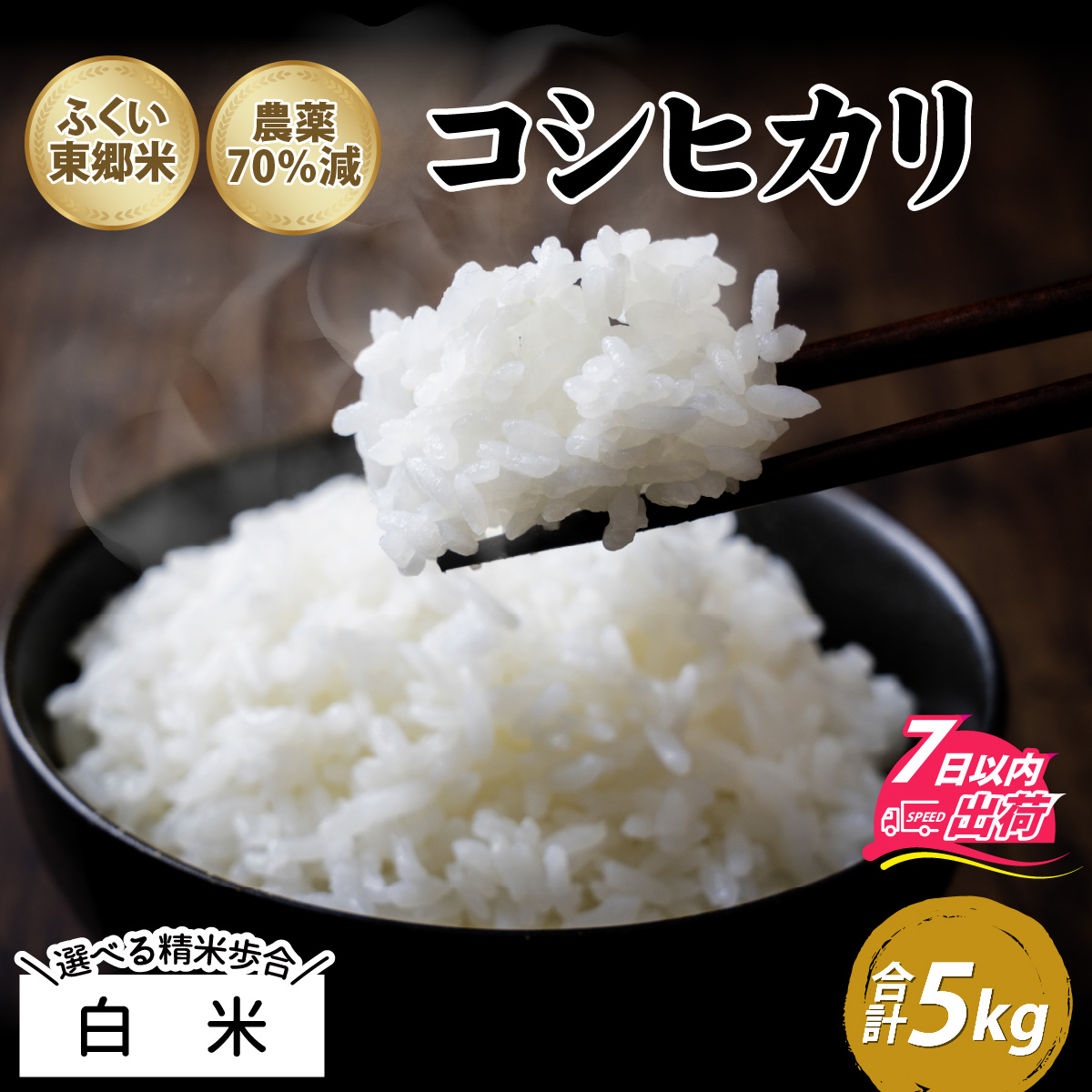 【白米】令和5年産 ふくい東郷米 特別栽培米 農薬70％減 コシヒカリ 5kg [A-020026_01]