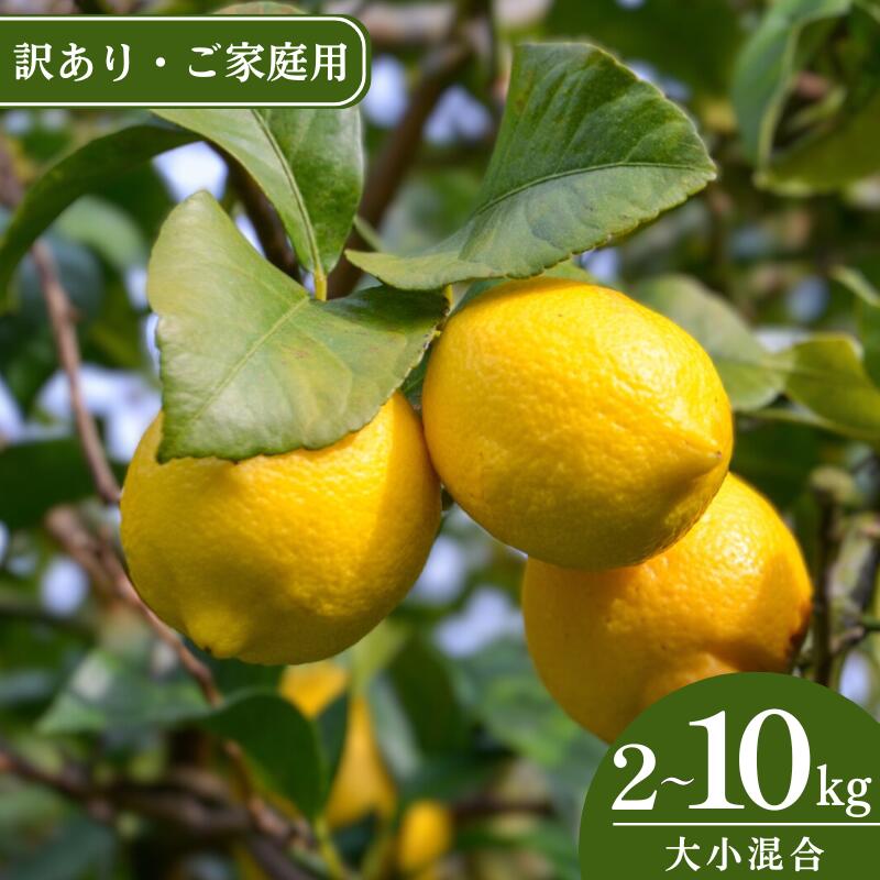 【ふるさと納税】＜来シーズン先行予約＞【訳あり・ご家庭用】和歌山県産完熟レモン＜選べる容量＞サイズ大小混合 2kg 3kg 5kg 7kg 10kg 皮まで使用可能！【2026年1月中旬より順次発送予定】 / れもん ワケアリ 訳アリ ノーワックス 柑橘 産地直送 由良町 和歌山