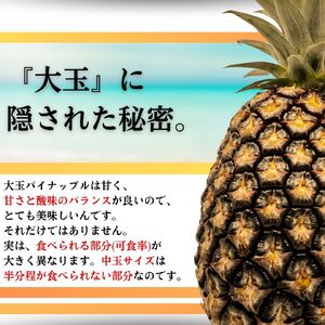 【先行予約】《2025年夏季 順次発送》サンドルチェ大玉3～４個 計3.6kg 【 産地直送 沖縄 石垣 フルーツ パイナップル パイン サンドルチェ 】SI-42