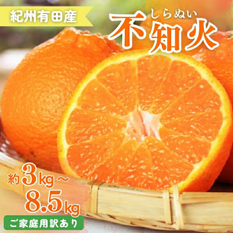 【ふるさと納税】 【ご家庭用訳あり】紀州有田産不知火(しらぬひ) 約3kg 約6kg 約8.5kg 【2026年2月中旬頃〜2026年3月中旬頃に順次発送予定】【先行予約】 | フルーツ 果物 くだもの 食品 人気 おすすめ 送料無料 産地直送