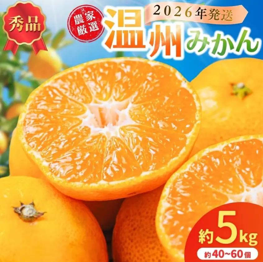 和歌山県産温州みかん　秀品　約5kg（約40個～60個入）［先行予約］【2026年11月初旬頃から2026年12月中旬頃順次発送予定】/ みかん フルーツ 果物 柑橘 和歌山【BK-kgr032A】