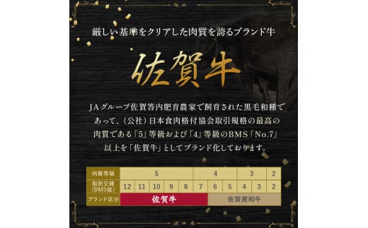 Z-2 佐賀牛毎月お届け便５０万コース