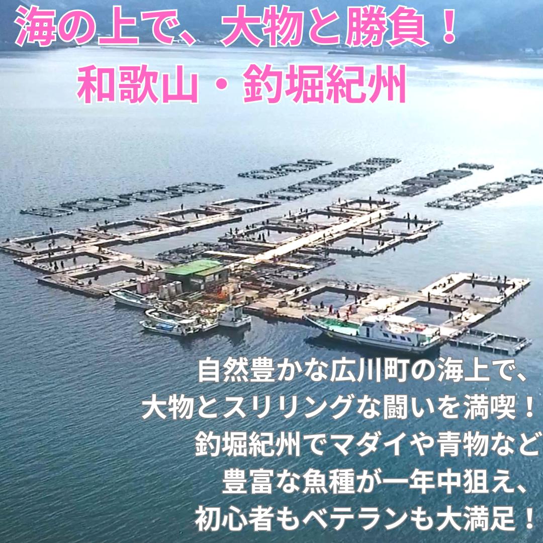  釣堀紀州 10000円分 利用券 / 体験チケット 釣堀り 釣り堀 釣り堀り 和歌山 近畿 【kit911-cp10】
