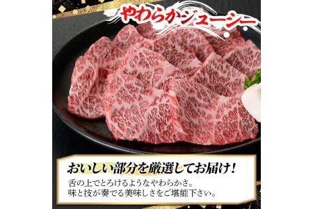 博多和牛A5～A4 肩ロースミニステーキ400g ソース付 ＜化粧箱入＞牛肉 黒毛和牛 国産 霜降り 化粧箱 贈答 ギフト プレゼント＜離島配送不可＞【ksg0348】【マル五】