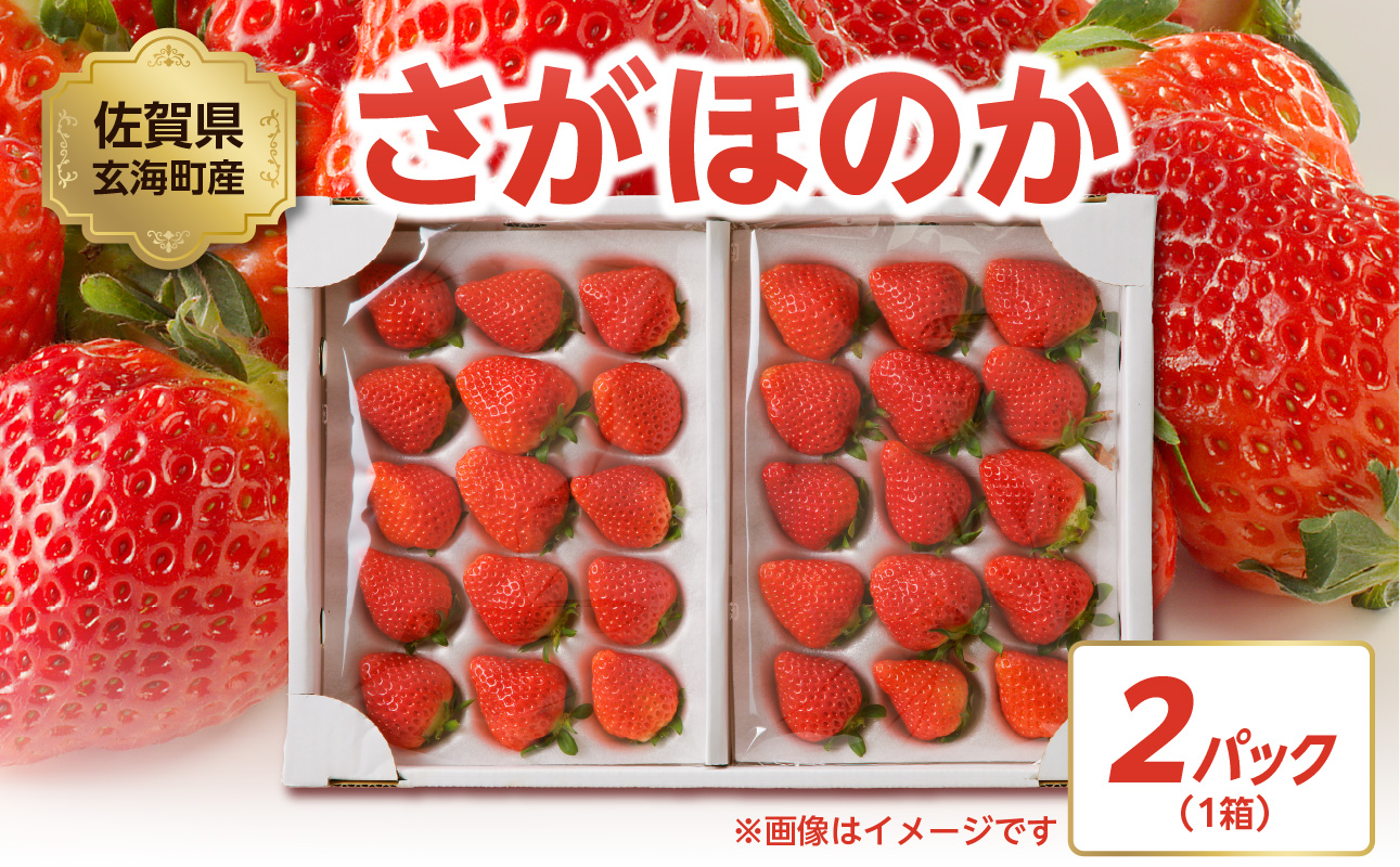★予約受付★渡邉農園 佐賀県玄海町産さがほのか（2026年1月～4月中にお届け）