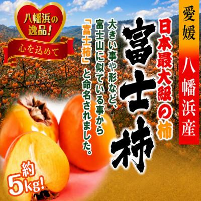 ふるさと納税 八幡浜市 甘さにニッコリ日本最大級の柿「富士柿」約5キロ 【D39-15】