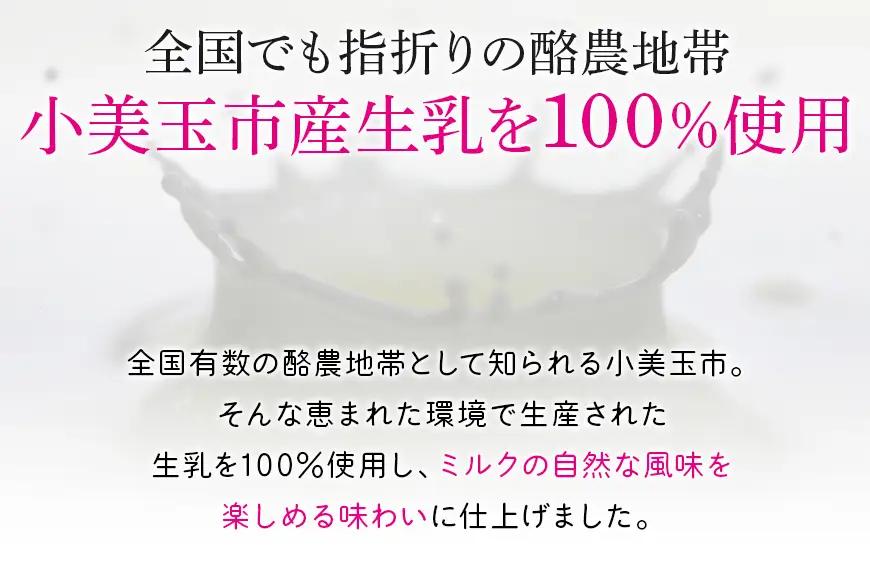 H61乳酸菌『からだ想いヨーグルト』 20個 ×2回発送  1-C