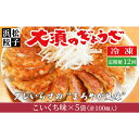 【ふるさと納税】【定期便12回】浜松餃子 大須のぎょうざ［ 浜松ぎょうざ まろやか風味＜ こいくち味 ＞］×5袋（1袋20個入、合計100個）　定期便・浜松市　お届け：※寄附金のご入金確認の翌月以降、初回発送から12ヶ月連続でお届けします。
