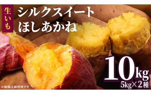 さつまいも 【 シルクスイート ・ ほしあかね 】 5kg ( 箱込 )の 2箱セット さつまいも 詰合せ 国産 農園 野菜 サツマイモ 芋 期間限定 デザート スイーツ おやつ 料理 味噌汁 煮物 