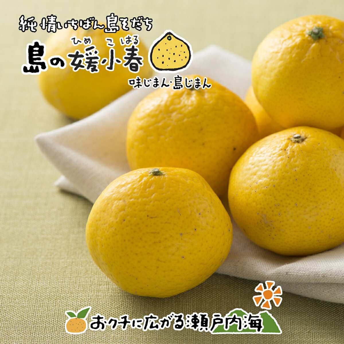 【ふるさと納税】 【2027年3月上旬頃から順次発送】 媛小春 2kg 愛媛 中島産 | 愛媛 みかん 蜜柑 柑橘 果物 くだもの フルーツ お取り寄せ グルメ 期間限定 数量限定 人気 おすすめ 愛媛県 松山市