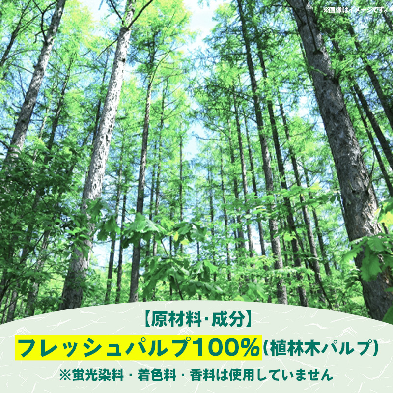 ティッシュペーパーソフトパック　４００枚（２００組）６０パック - ソフトパック ティッシュ ペーパー 生活用品 雑貨 日用品 必需品 紙 常備品 まとめ買い 備蓄 防災 ストック 熊本県 甲佐町_イ