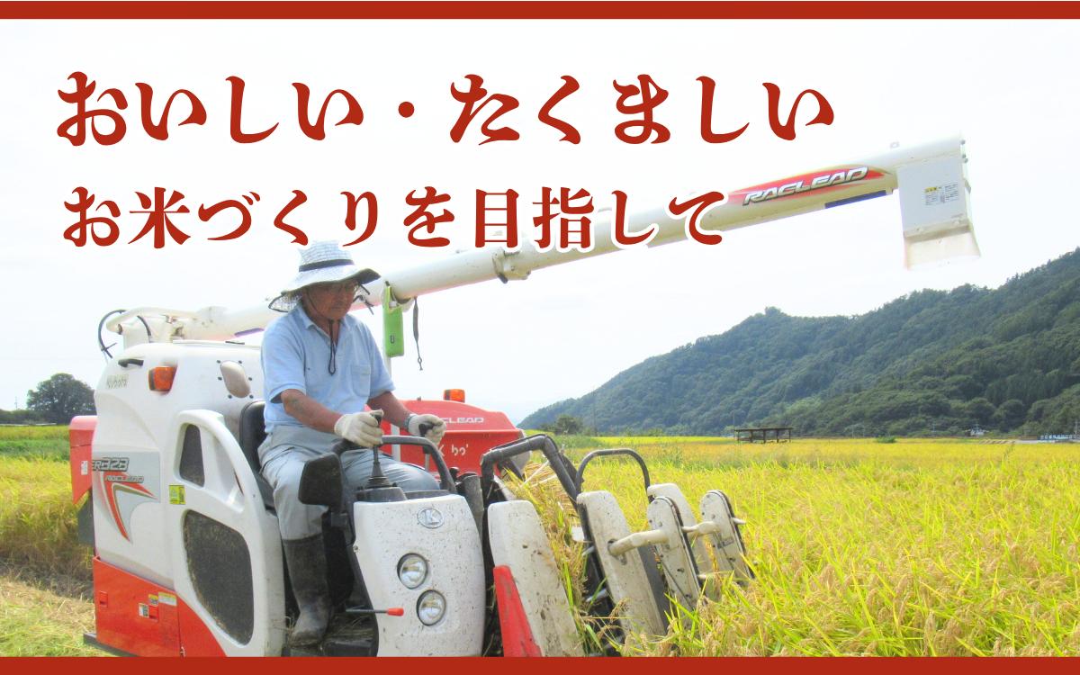 米 令和7年 関口さんちのお米 コシヒカリ 3kg お米 こめ コメ 新米 精米 白米 ご飯 こしひかり 長野 信州