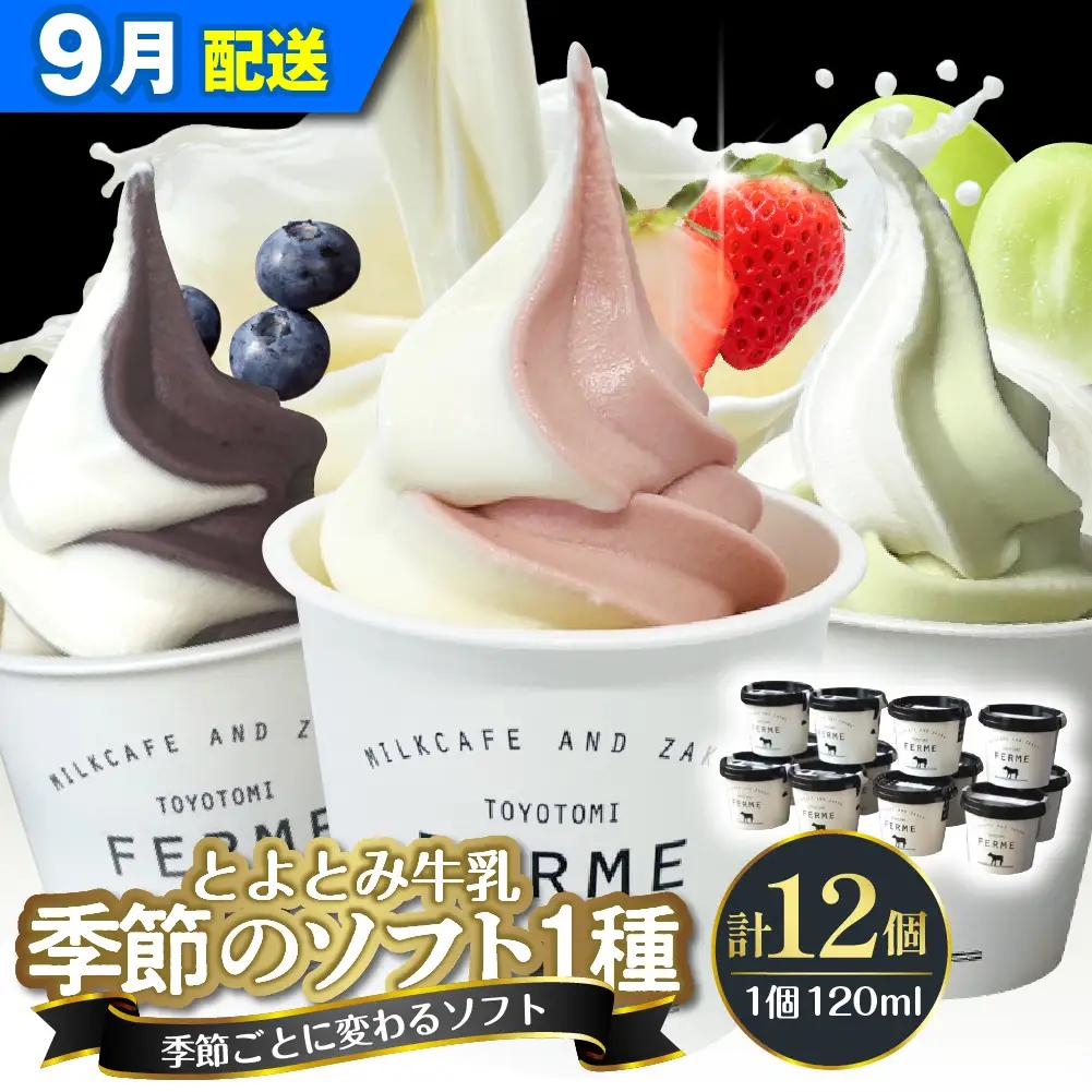 【9月配送】とよとみ牛乳ソフトクリーム 季節のミックス1種類 12個