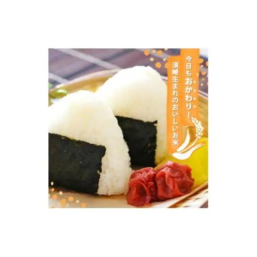 【 コシヒカリ 】 コシヒカリ 5kg