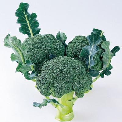 ふるさと納税 坂出市 ブロッコリー　約4kg |  | 02