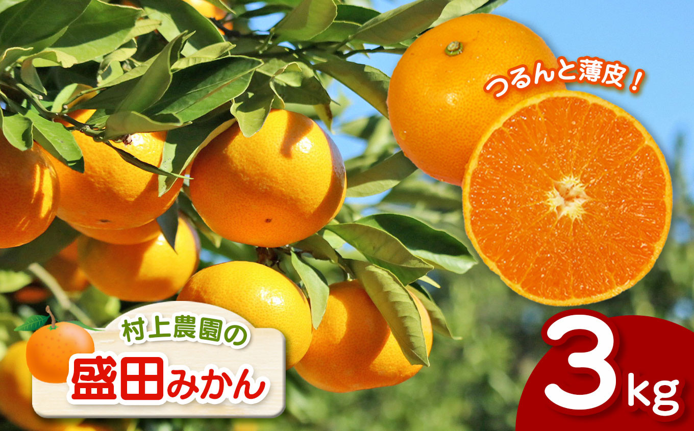 
            『 村上農園 』 盛田みかん 3kg | フルーツ 果物 くだもの 柑橘 柑橘類 ミカン みかん 熊本県 玉名市
          