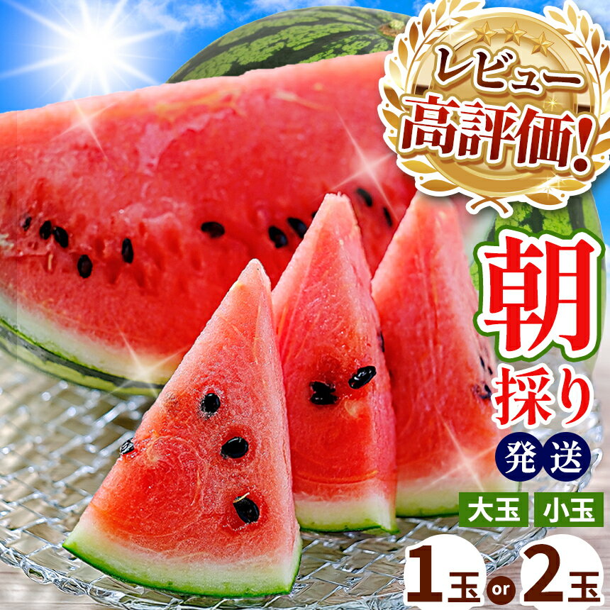 【ふるさと納税】 大好評 出荷中！ ★4.6以上 大玉 小玉 スイカ 1玉 2玉 すいか 西瓜 果物 フルーツ 国産 熊本県 和水町 くまもと 産地直送 甘い 夏のフルーツ 農家直送 石原農園 美味 朝摘み 野菜 一大産地 産地直送 送料無料 オススメ