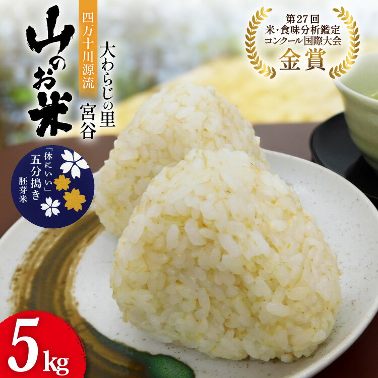 【ふるさと納税】 大わらじの里 宮谷 山のお米 五分搗き胚芽米 5kg [宮谷営農組合瑞穂ファーム 高知県 津野町 26aq0021] 五分搗き 五分づき 胚芽米 食物繊維