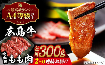 【全2回定期便】広島牛 もも肉 焼肉用[APAZ061] 肉 肉 肉 肉 肉
