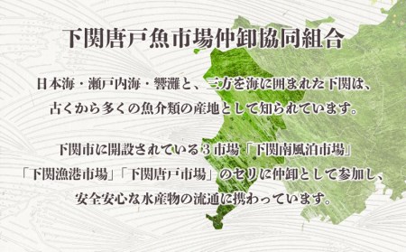 ふぐ ひれ 酒 30g とらふぐ トラフグ カップ 付 下関 山口 EY015