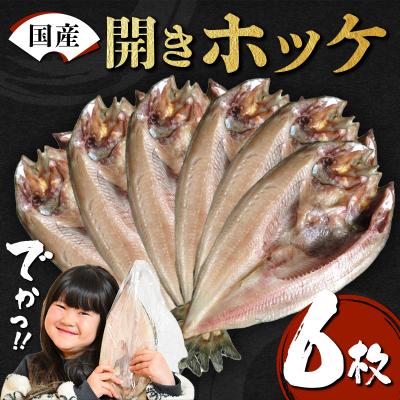 ふるさと納税 山田町 【無添加】国産 真ホッケ 大サイズ×6枚 肉厚 冷凍 ほっけ 干物 北海道産 一夜干し 魚 魚介