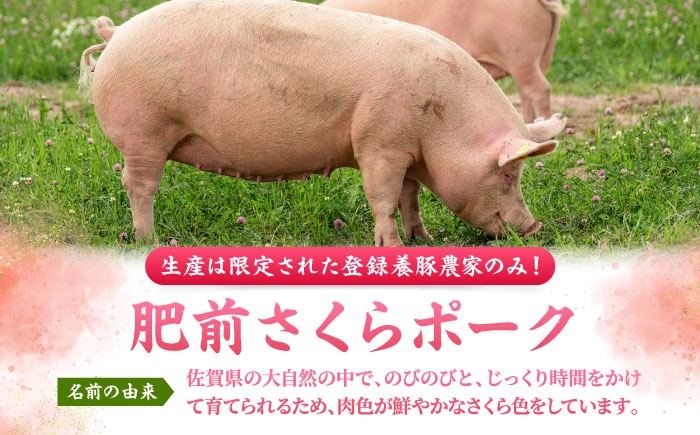 肥前さくらポーク ロース 500g × 10パック 計 5kg| 豚肉 ロース 国産 小分け  しゃぶしゃぶ 豚 大容量 | 