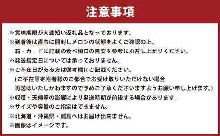 【訳あり品】静岡県産 アローマメロン 2玉 約1.0kg以上×2玉 計約2.0kg以上 化粧箱入 訳アリ 訳あり 果物 フルーツ メロン めろん 青肉 高級 高級ブランドメロン ブランドメロン 高級メ