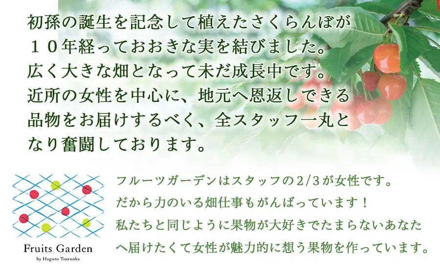 さくらんぼ 佐藤錦 バラ詰め L～2Lサイズ 1kg(500g×2) 山形県鶴岡市産 令和9年産 フルーツガーデン