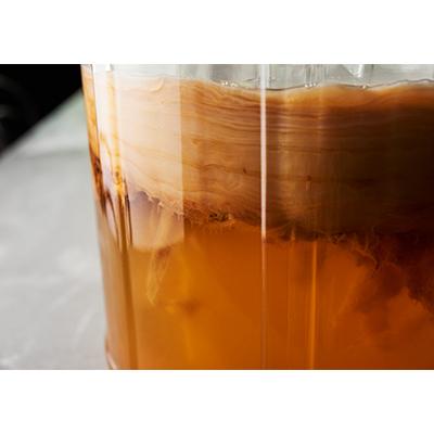 ふるさと納税 川口市 _SHIP KOMBUCHA HOP BREEZE ホップ ブリーズ(300ml×12本セット) |  | 03