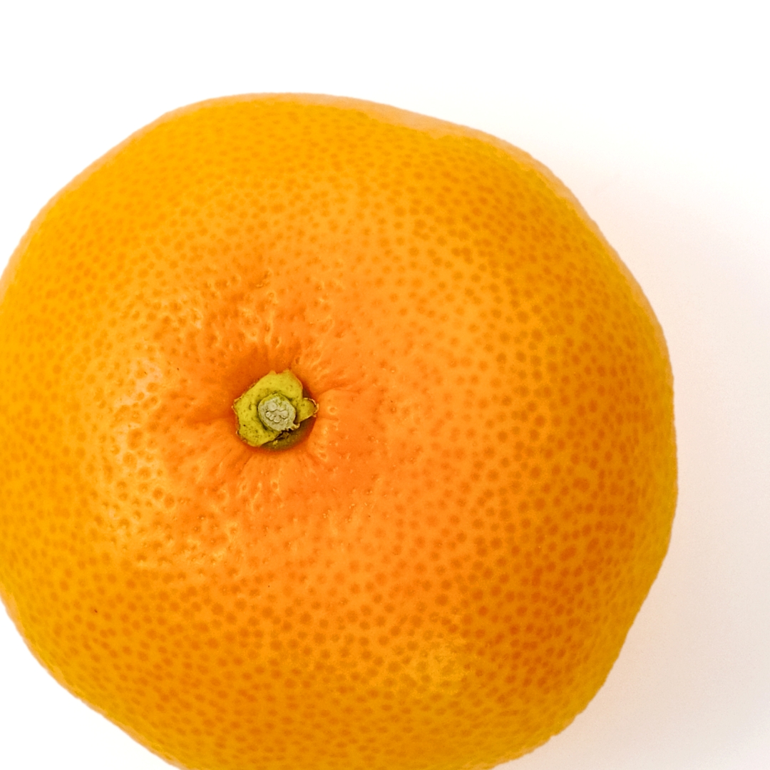 【期間限定】蒲郡温室みかん ５kg（秀品）_【G0356】