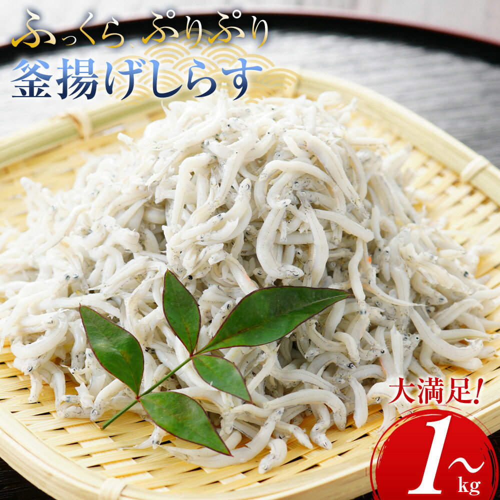 【ふるさと納税】【選べる容量】ふっくら、ぷりぷり 釜揚げしらす たっぷり1～2kg 那智勝浦町 海鮮 魚介類 釜揚げしらす おすすめ 魚介 小魚 魚 鮮魚 シラス しらす しらすごはん 和歌山県産しらす | 那智勝浦町 釜揚げしらす 海鮮 魚介 人気 おすすめ 惣菜