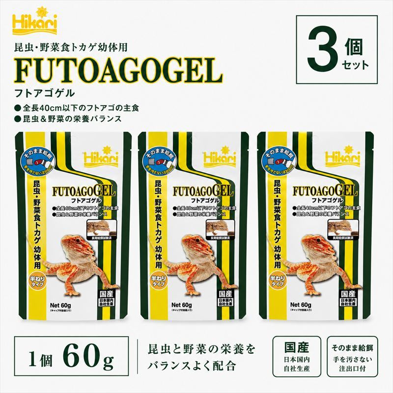キョーリン フトアゴゲル 60g 3個 フード 餌 爬虫類 トカゲ 主食 ペットフード 昆虫食 野菜食 総合栄養食 ひかり菌 半ねりタイプ ゲルフード ベビー サブアダルト 飼育用品 国産 爬虫類フー