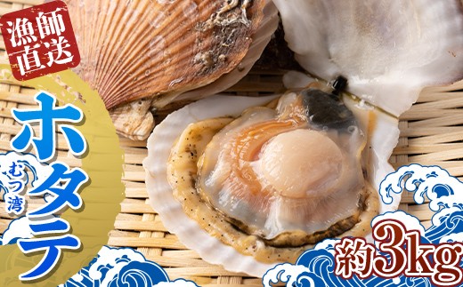
                  漁師直送 青森県 むつ湾 ホタテ(2年貝) 約3kg (15～24枚) 【龍運丸 水産】 ホタテ ほたて 帆立 活ホタテ 人気 生ほたて 生ホタテ 刺身 貝 貝柱 殻付き 海鮮 新鮮 ほたて広場 魚介 青森県 平内町 東北 むつ湾 陸奥湾 漁協 BBQ バーベキュー キャンプ F21J-180
                
