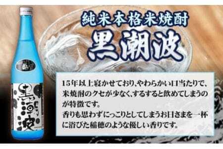 焼酎 黒潮波 720ml×2本セット 酒のねごろっく《30日以内に出荷予定(土日祝除く)》焼酎焼酎焼酎