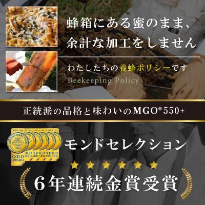 ふるさと納税 和泉市 【毎月定期便】インカナム マヌカハニー【MGO550+】500g×1個　全12回 |  | 02