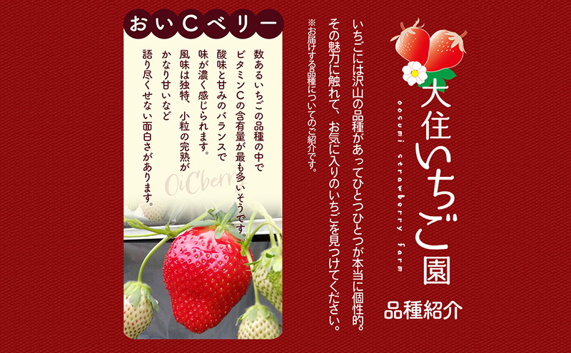 おすすめ品種「おいCベリー」4パック　250g×4パック　『とくしま安２（安全・安心）農産物』優秀認定取得