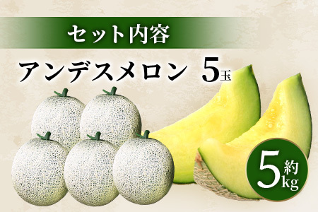 【2024年5月上旬発送開始】熊本県産 アンデスメロン 5玉 約5kg ご予約 令和6年 先行 メロン めろん フルーツ 果物 くだもの アンデス 甘い ジューシー 果実 糖度14度以上 旬の果物 旬