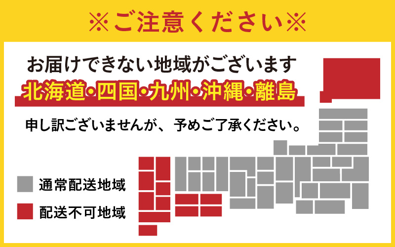 【先行予約】越前おおの　毎川金花堂　でっち羊かん小サイズ（500g）×2箱【2026年11月より順次発送】