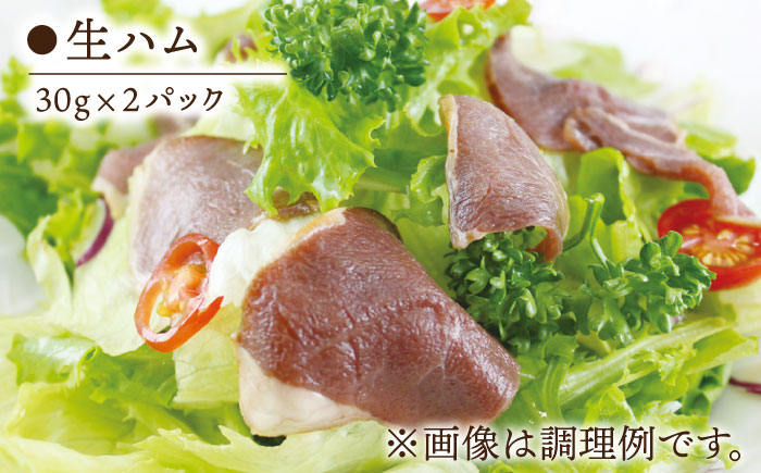 雲仙鹿牧場 鹿肉 詰め合わせ（4種類×2セット）/ 南島原市 / ディアー・カンパニー [SBD001]